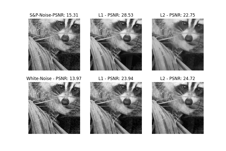 S&P-Noise-PSNR: 15.31, L1 - PSNR: 28.53, L2 - PSNR: 22.75, White-Noise - PSNR: 13.97, L1 - PSNR: 23.94, L2 - PSNR: 24.72